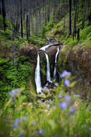 Triple Falls Recovery