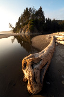 Mosquito Creek