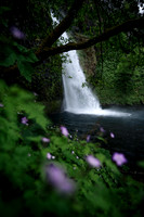 Horsetail Falls Dream