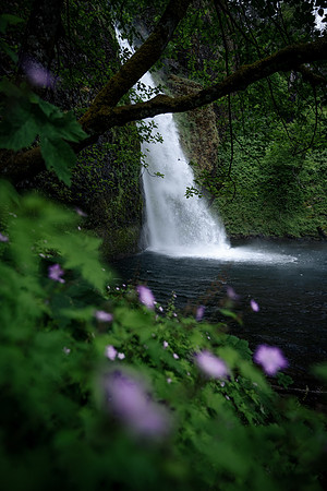 Horsetail Falls Dream