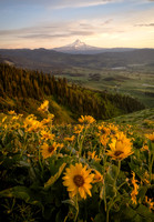Hood River Valley Dreamin'