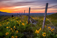 Wallowa Valley Sunset