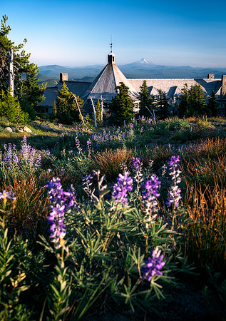 The Lodge