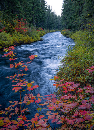 Cool Tones of Autumn