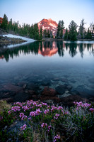 Independence Day Reflection
