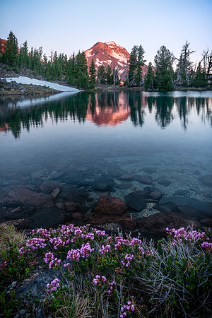Independence Day Reflection