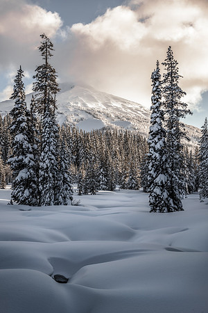 Mount Bachelor Christmas Card