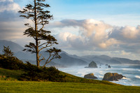 Ecola State Park View
