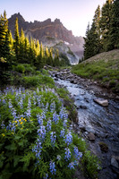 Three Fingered Jack Canyon Creek 2