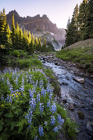Three Fingered Jack Canyon Creek 2