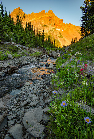 Three Fingered Jack Canyon Creek