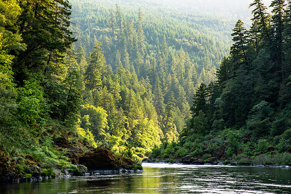 Rogue River Evening Light