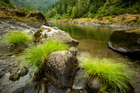 Rogue River Green