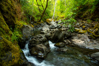 Rogue River Doe Creek