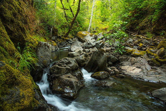 Rogue River Doe Creek