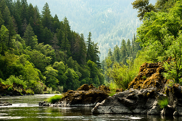 Rogue River Morning Light
