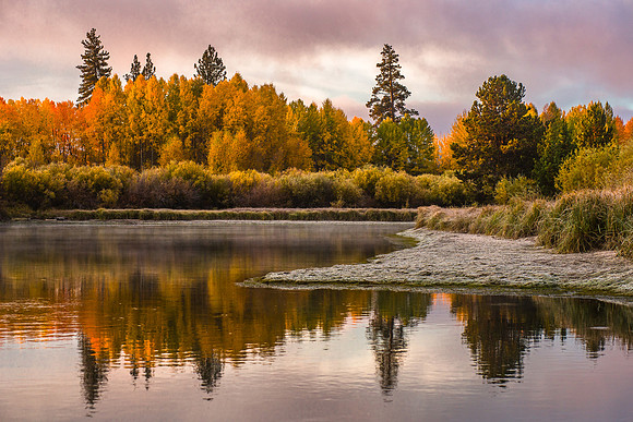 Deschutes Fall Aspen