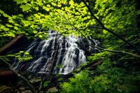 Opal Creek Area