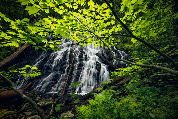 Opal Creek Hidden Waterfall