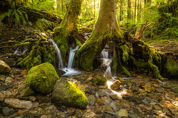 Water feature