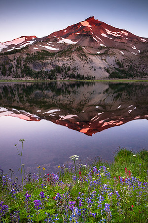 South Sister Green Lake Flowers