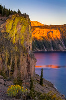 Crater Lake Lichen