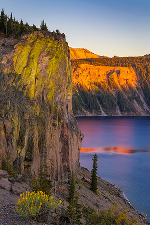 Crater Lake Lichen