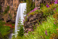 Tumalo Falls Flowers
