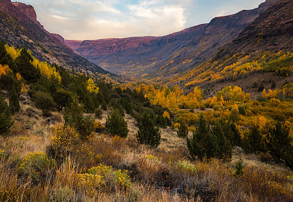 Little Blitzen Autumn Colors