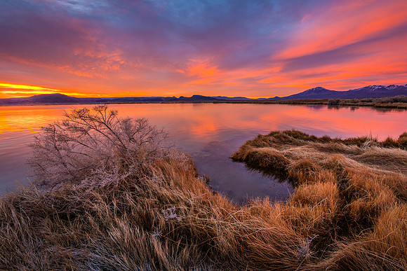 Borax Lake