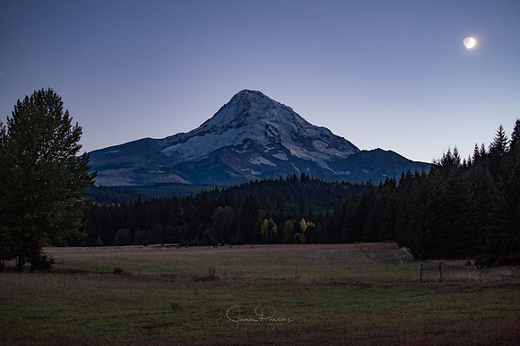 Mount Hood Elk Moon