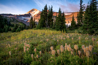 Elk Cove Mount Hood