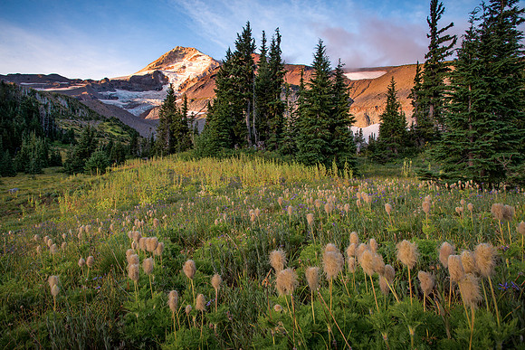 Elk Cove Mount Hood