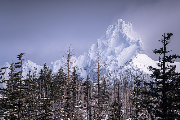 Three Fingered Jack Winter