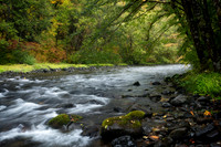 North Fork Willamette River