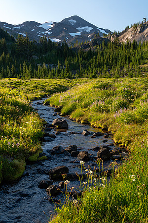 Middle Sister Glacier Creek, OR