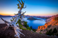 Crater Lake Snag, OR