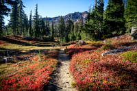Diamond Peak Fall Color, OR