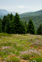 Mount Shasta Pacific Crest Trail, OR