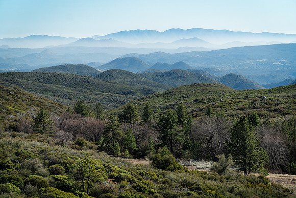 Looking South from Mount Laguna, CA