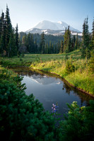 Mount Adams Reflection, WA