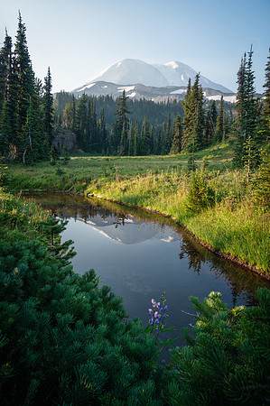 Mount Adams Reflection, WA