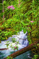 North Umpqua River