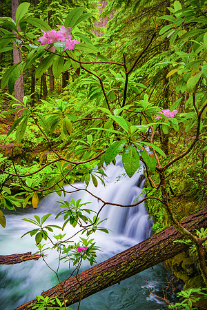 North Umpqua River