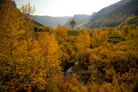 Indian Creek Glow