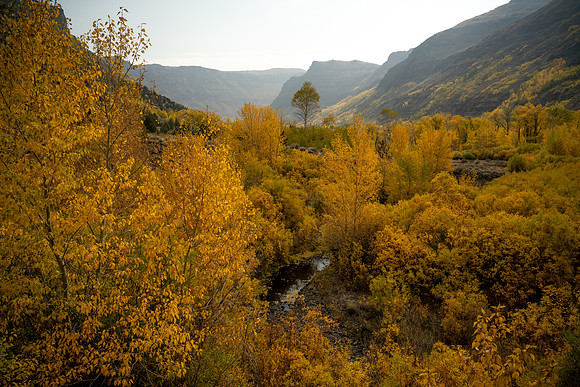 Indian Creek Glow