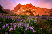 Canyon Creek Bloom for web (1 of 1)