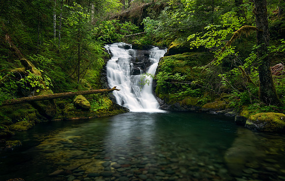 Opal Creek Secret Waterfall