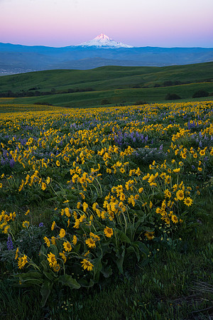 Dalles Mountain Sunrise