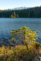 Southern Oregon Cascades